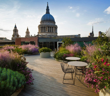  Лучшие садовые дизайнеры Великобритании 