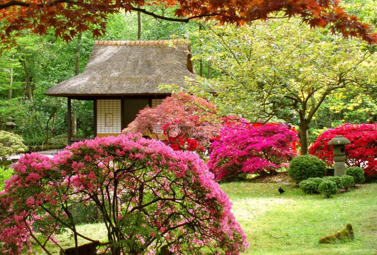 Японский сад с Ландшафтной мастерской Ильи Лациса