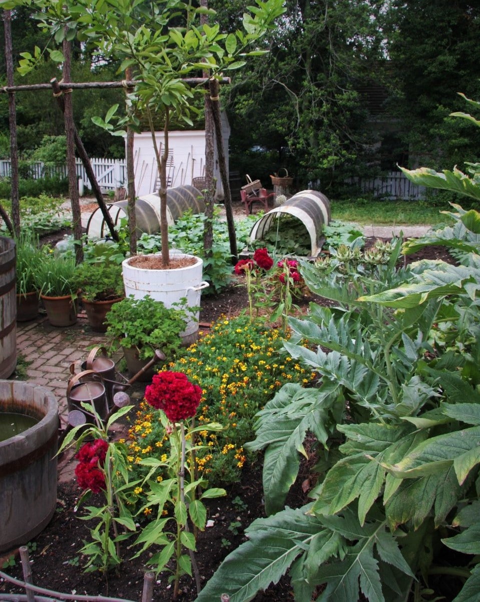 Галерея огород и садовники